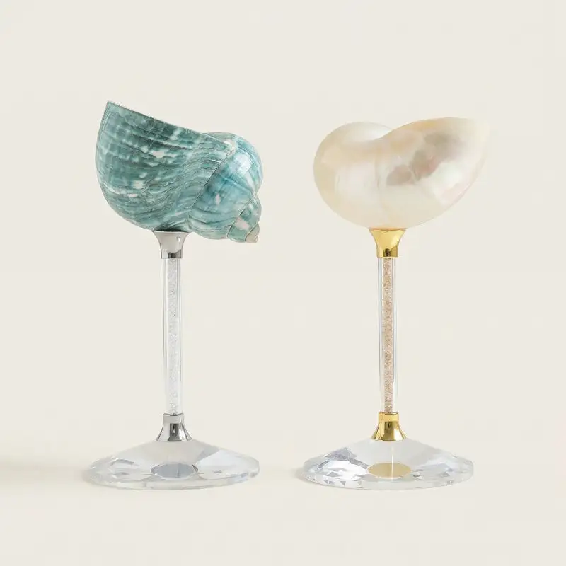 Everyday Serving Seashell Glasses