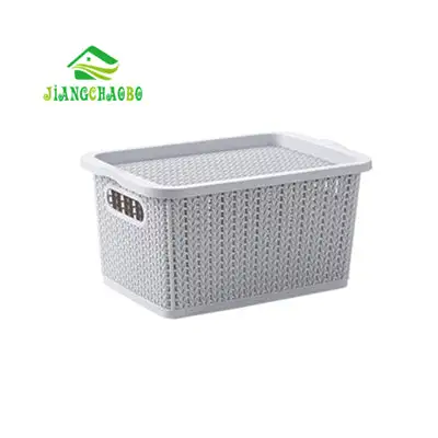 Rattan Style Storage Box