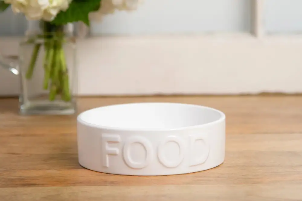 Classic Pet Food Bowl