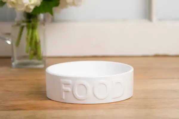 Classic Pet Food Bowl