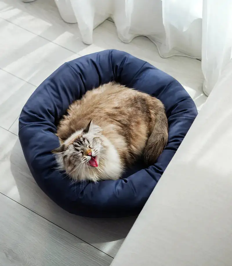Round Cooling Pet Lounge Bed