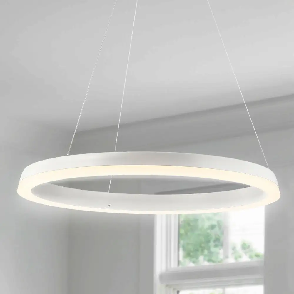 Integrated LED Metal Hoop Pendant