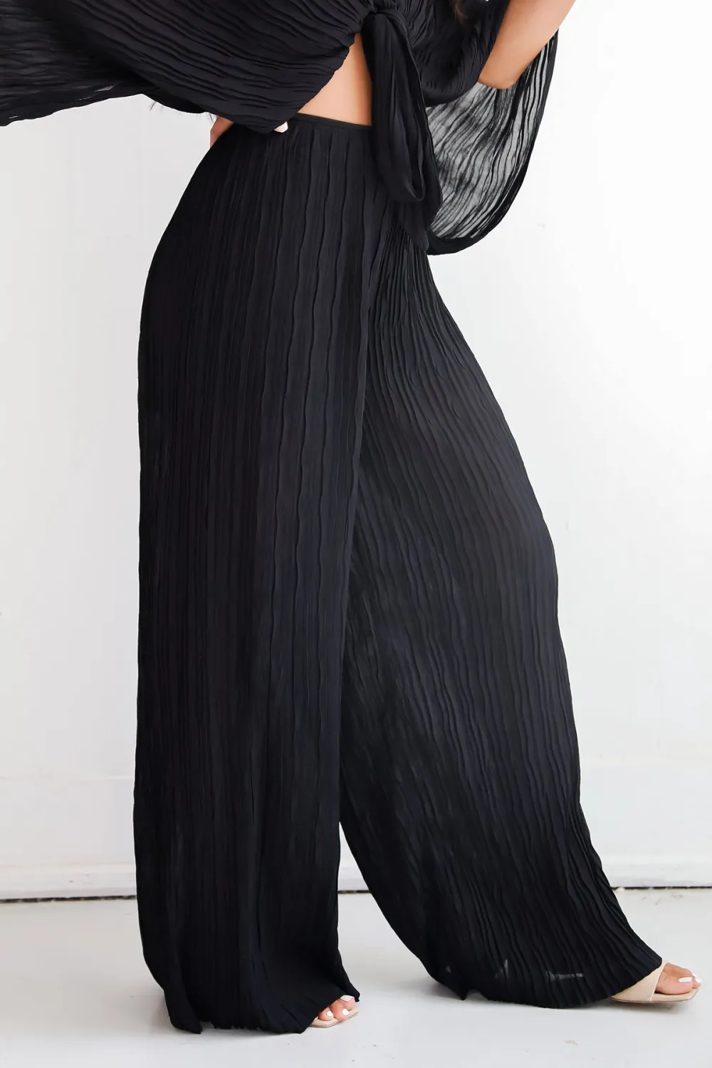 Black Pleated Wide Leg Pants