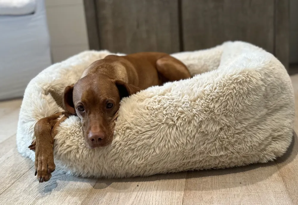 Plush Secure Flexible Pet Bed