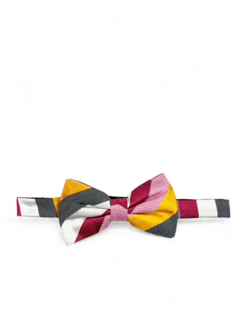 Neat Striped Silk Bow Tie Set