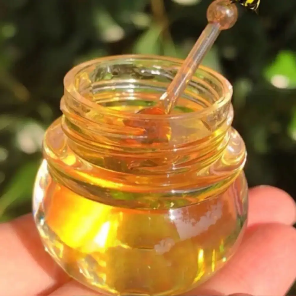 Vanity Setup Lip Care Balm