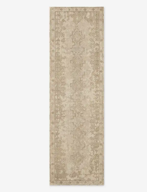 Soft Traditional Motif Hand Knotted Wool Area Rug
