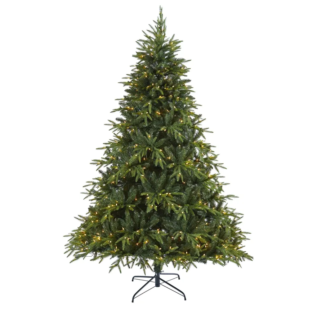 Colorado Mountain Fir 