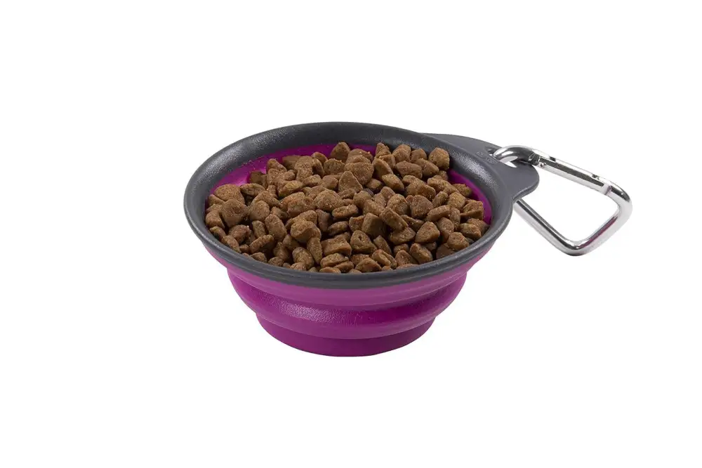 Portable Rubber Pet Bowl