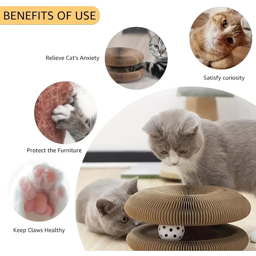 Cat Play & Scratch Toy Set