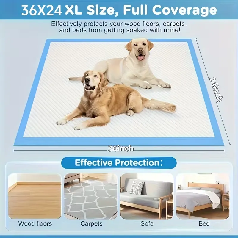 Large Dog Training Pad