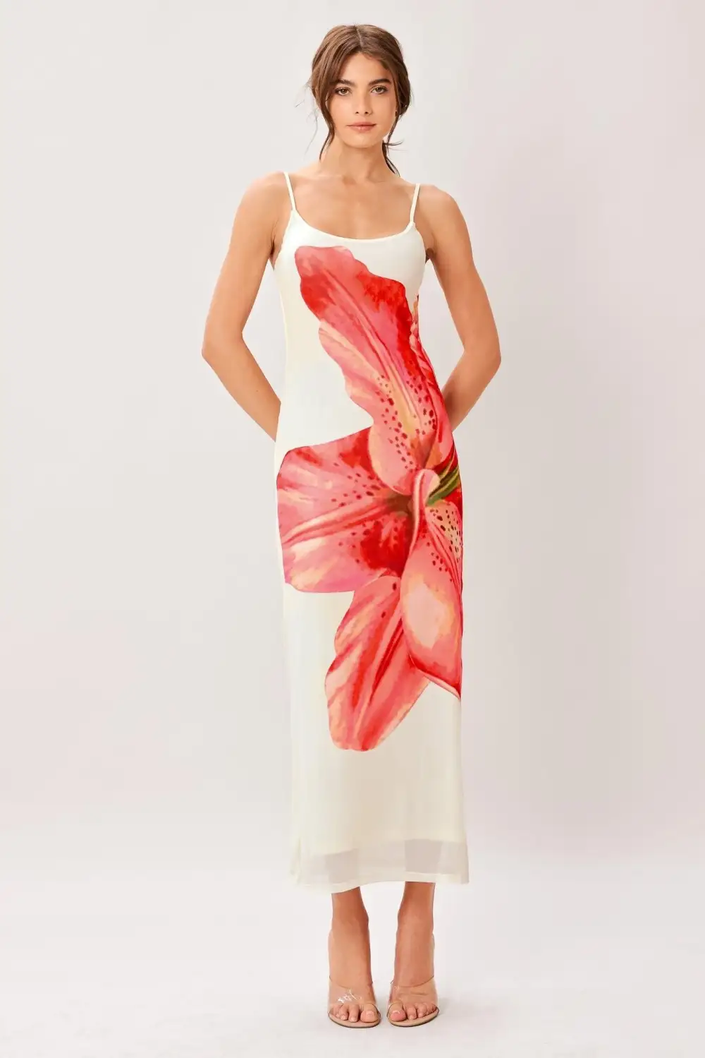 Classic Mesh Printed Midi Dress