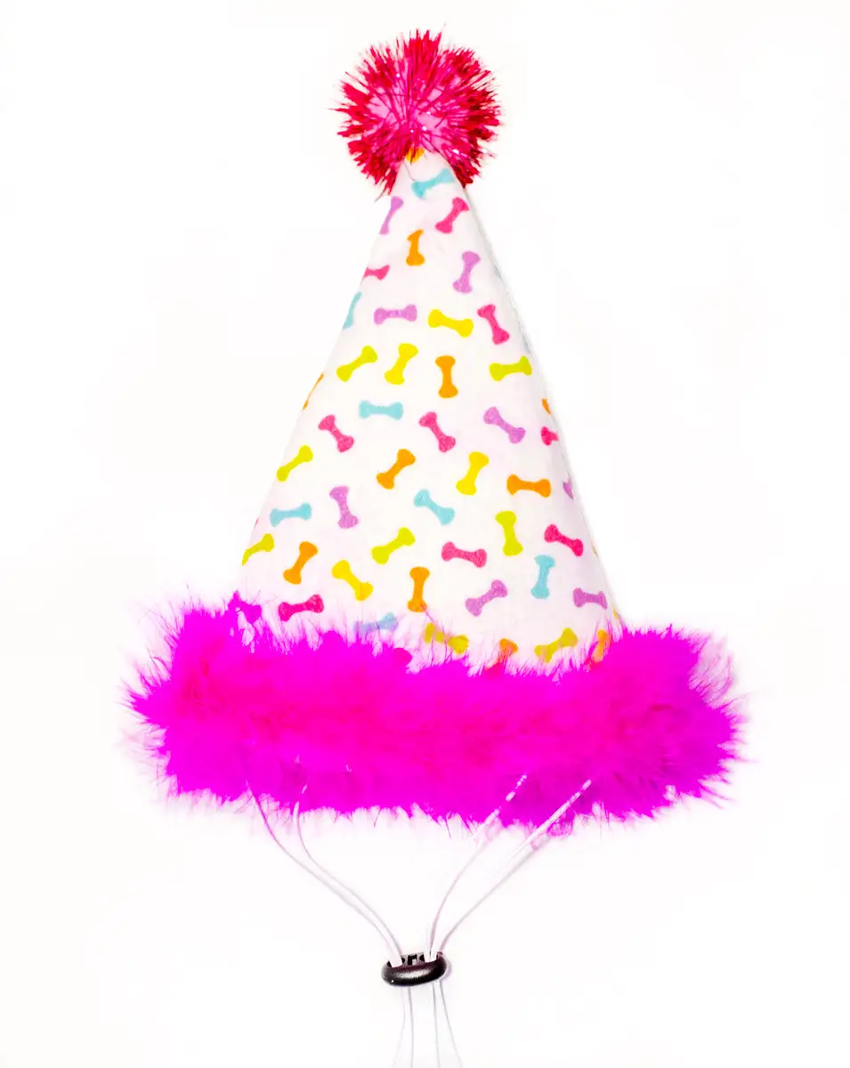 Lightweight Pet Party Hat
