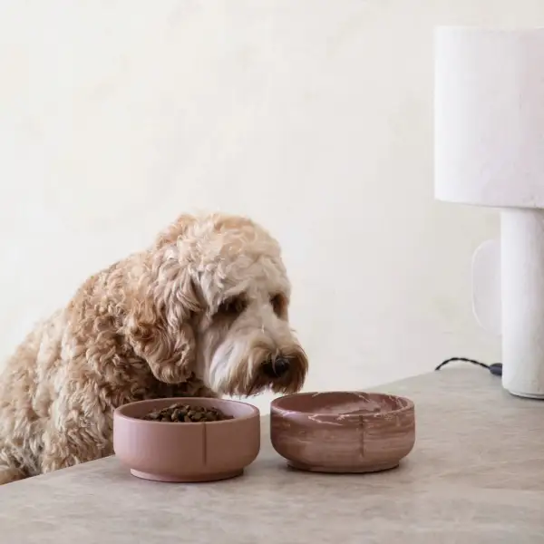 Round Smart Adjustable Pet Bowl