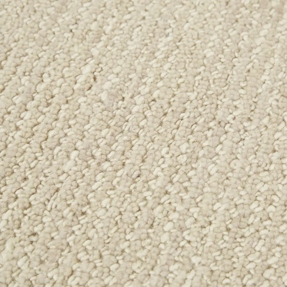 Wool Bordered Contemporary Tailored Area Rug