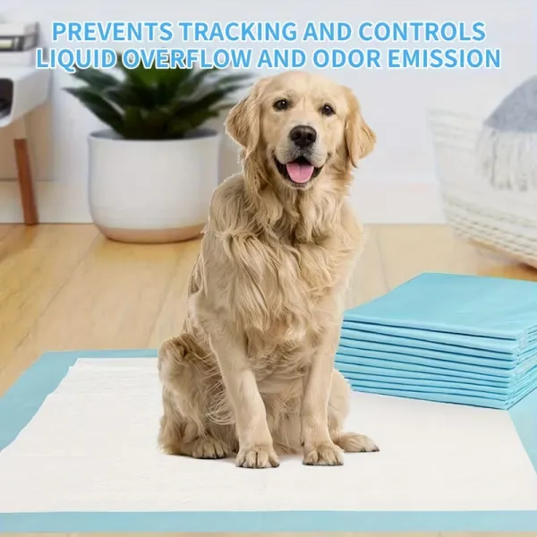 Absorbent Dog Pads for Dog Training