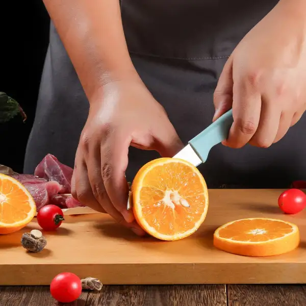 Fruit Knife Set - 4 Pieces