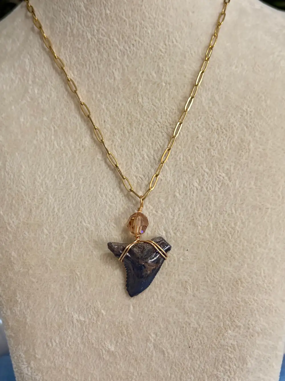 Natural Shark Tooth Pendant Necklace