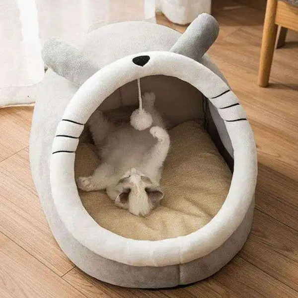 Plush Cat Home Furniture