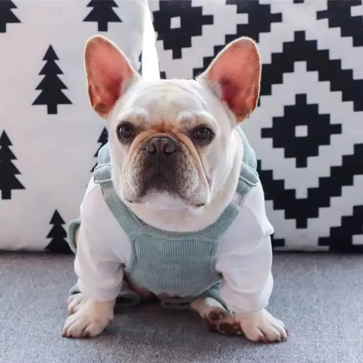 Warm Overall with Pocket