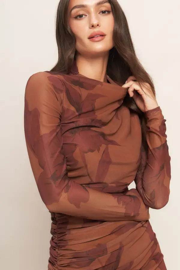 Long-Sleeve Mesh Printed Midi Dress