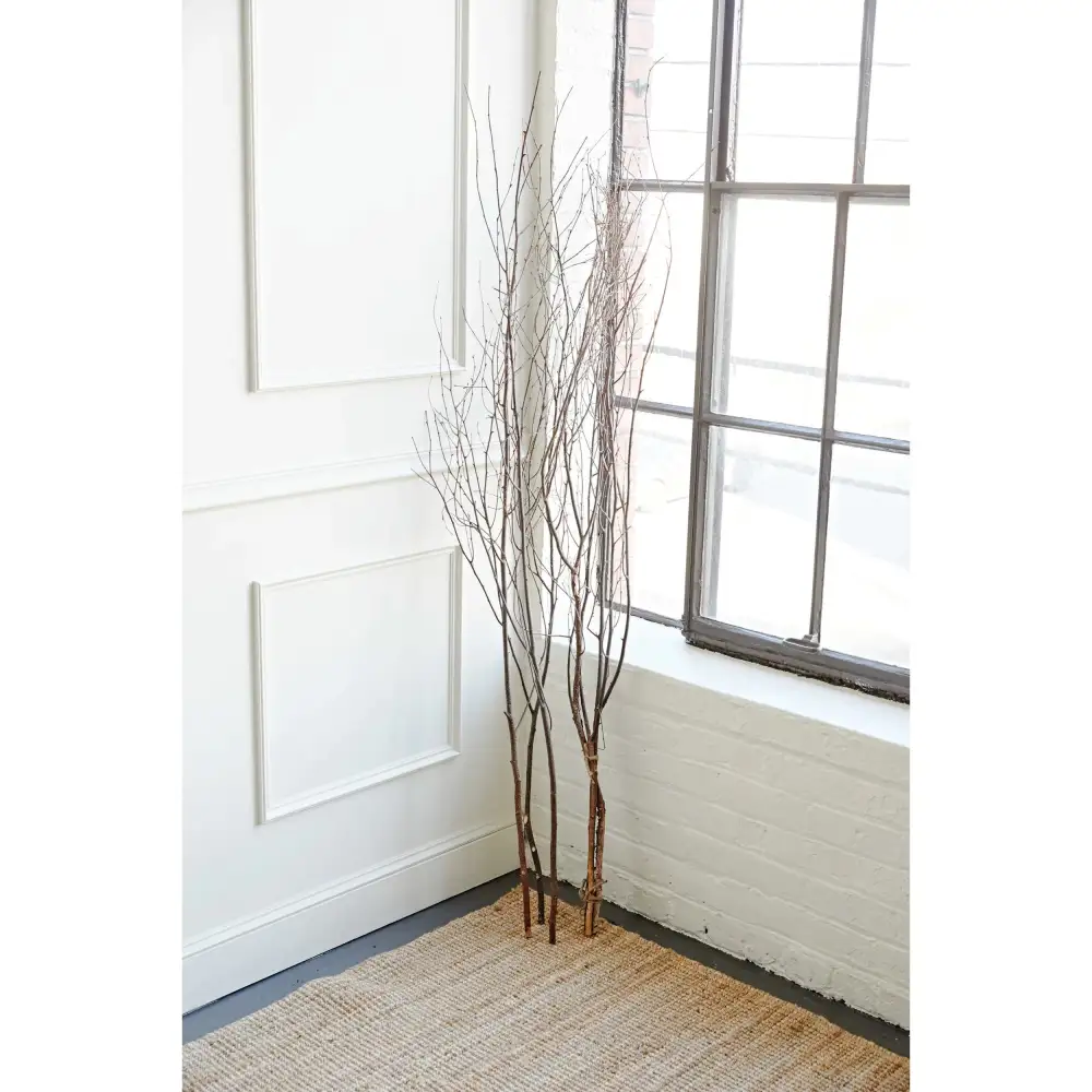 Simple Everyday Home Accent Branches