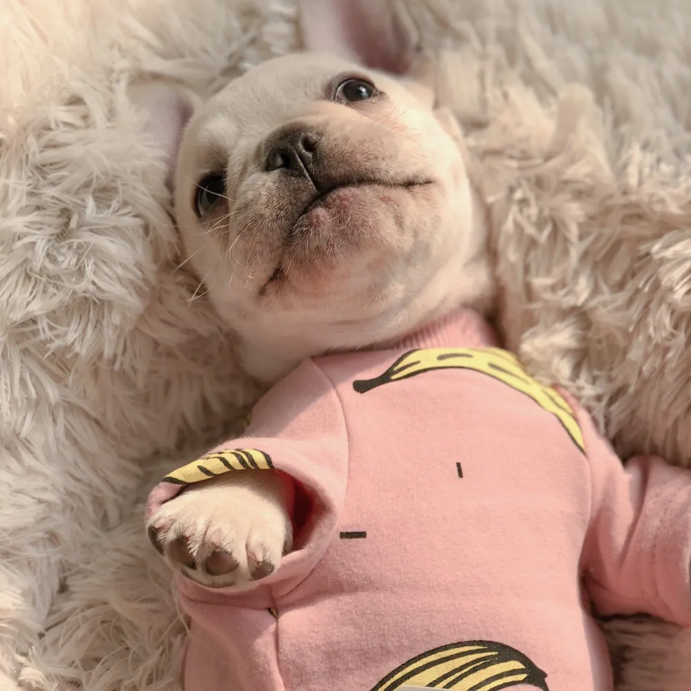 Banana Pajama Set