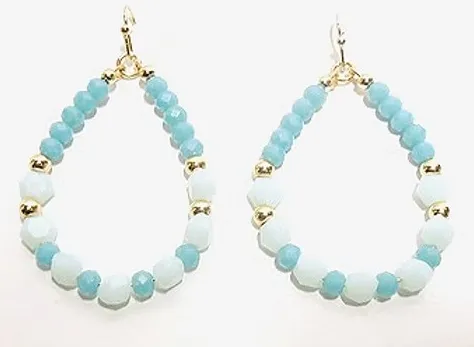 Artful Chic Accent Earrings