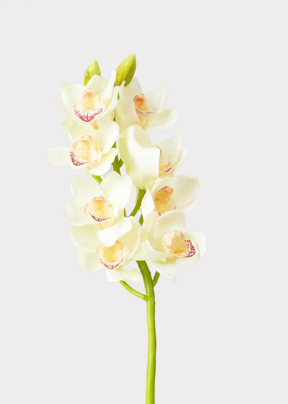 Artificial Cymbidium Orchids Floral Stem