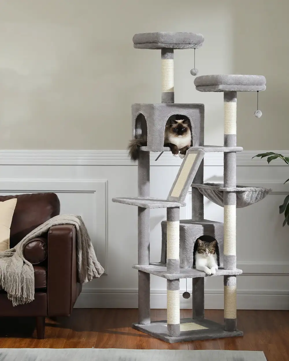 A Six-Story Cat Tree With Multiple Hiding Places