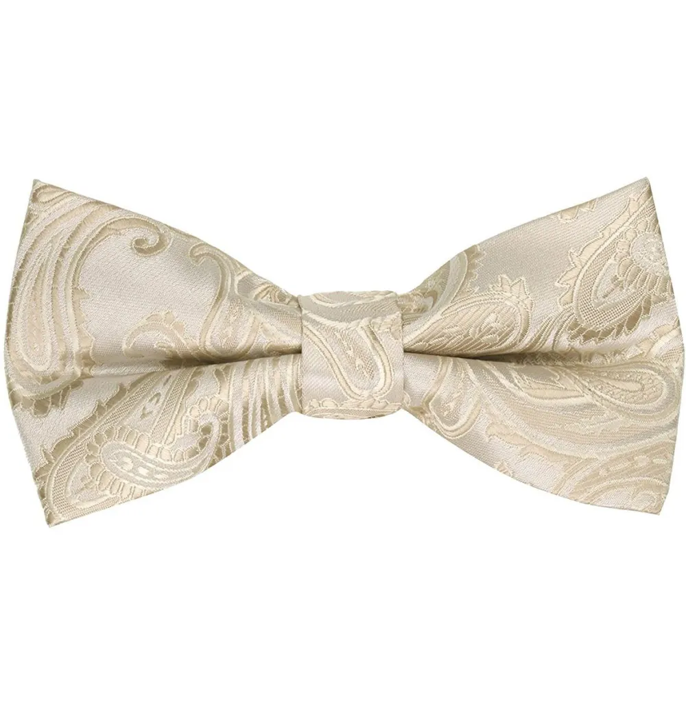 Gentleman Paisley Polyester Bow Tie