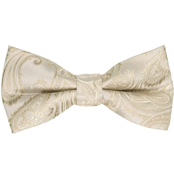 Gentleman Paisley Polyester Bow Tie