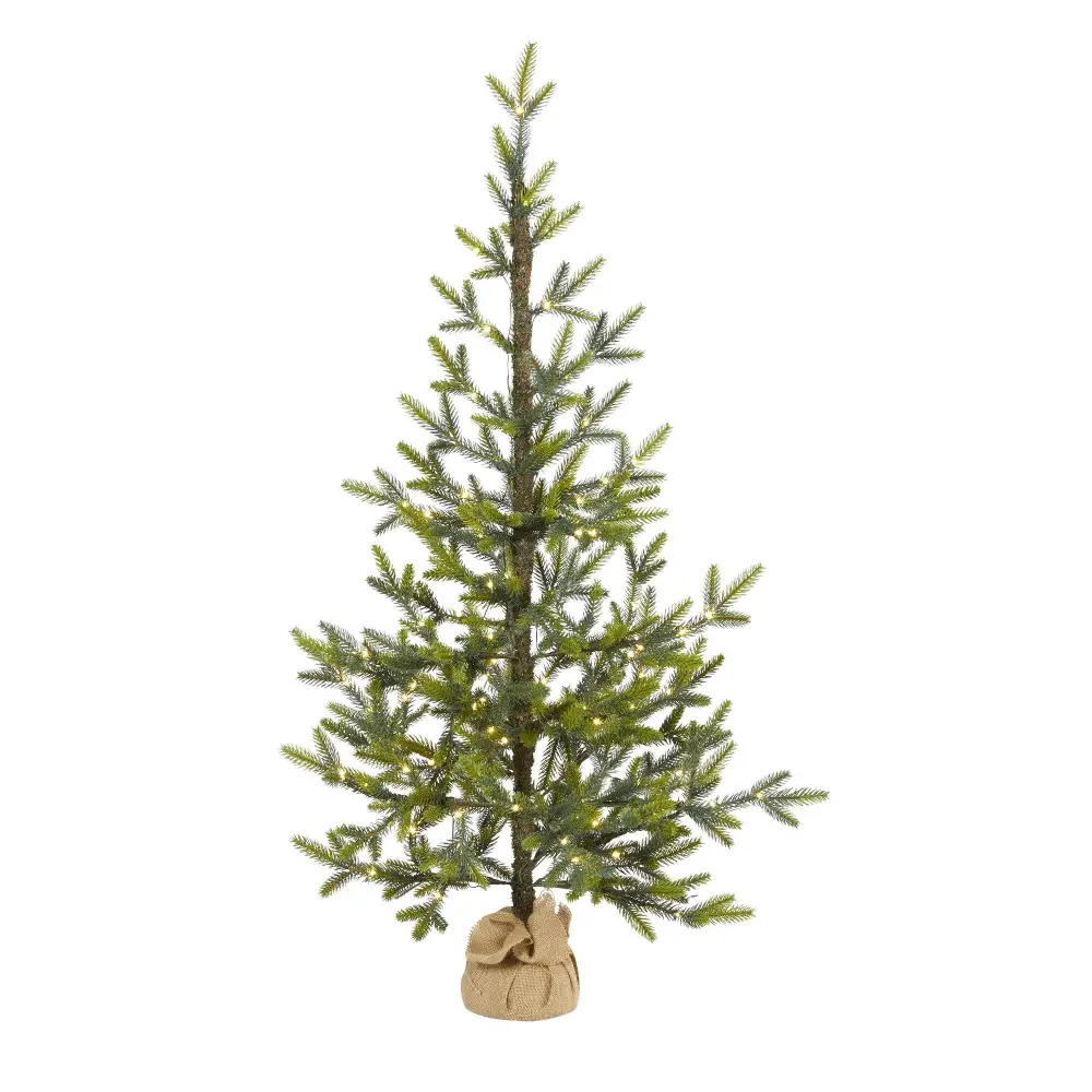 Fraser Fir 