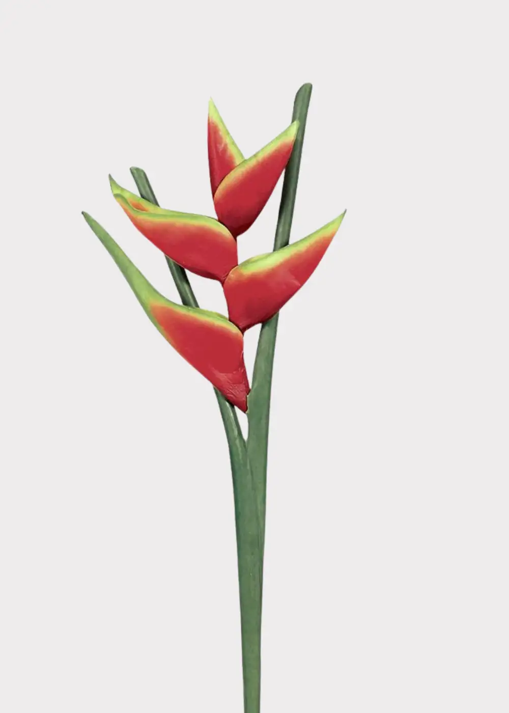 Artificial Heliconia Tropical Floral Stem