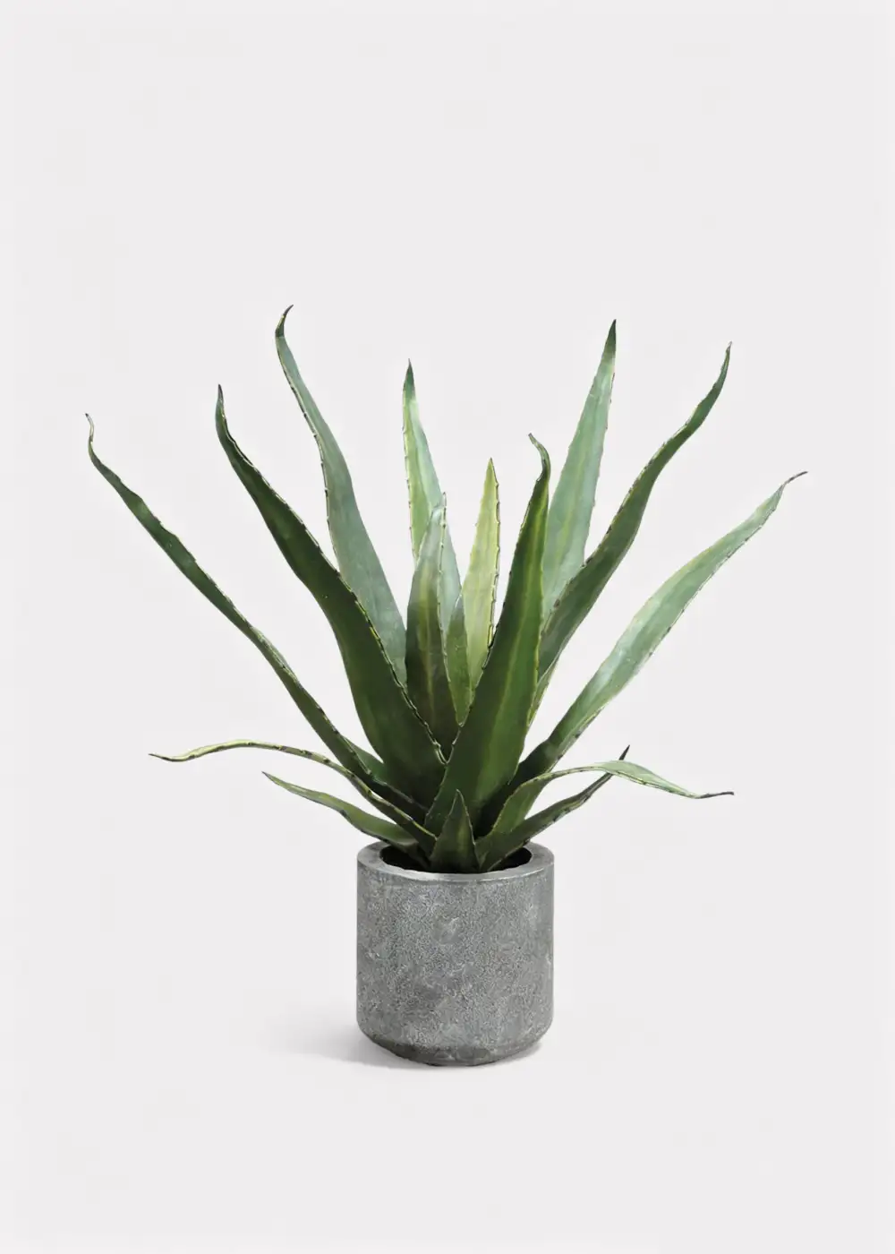 Artificial Floral Accent Agave Cactus Potted Plant