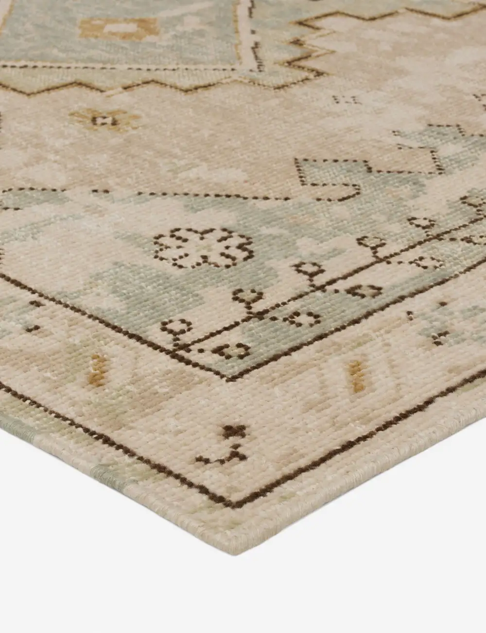 Soft Traditional Motif Hand Knotted Wool Area Rug