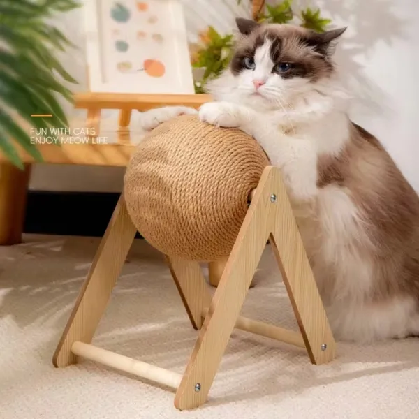 Cat Scratching Ball Toy