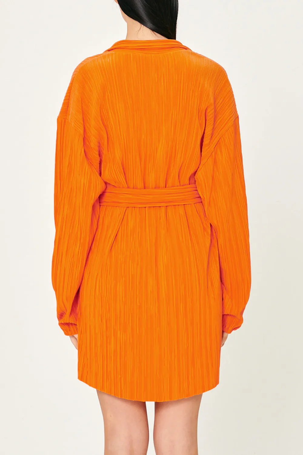 Plisse Shirt Dress