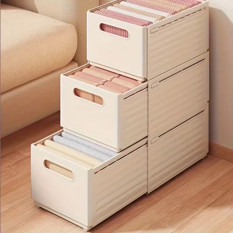 Closet Organizer Storage Box