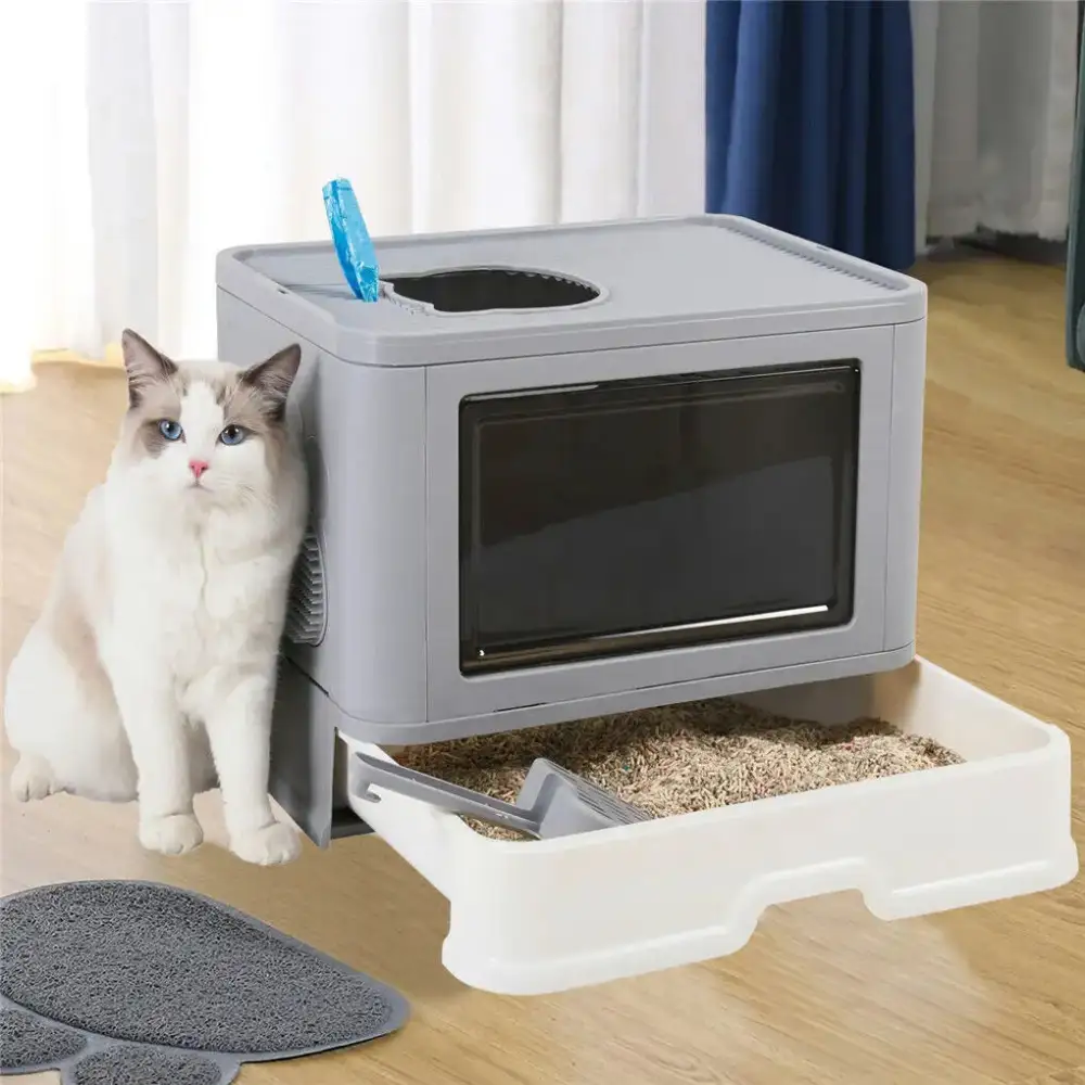Modern Litter Box Design