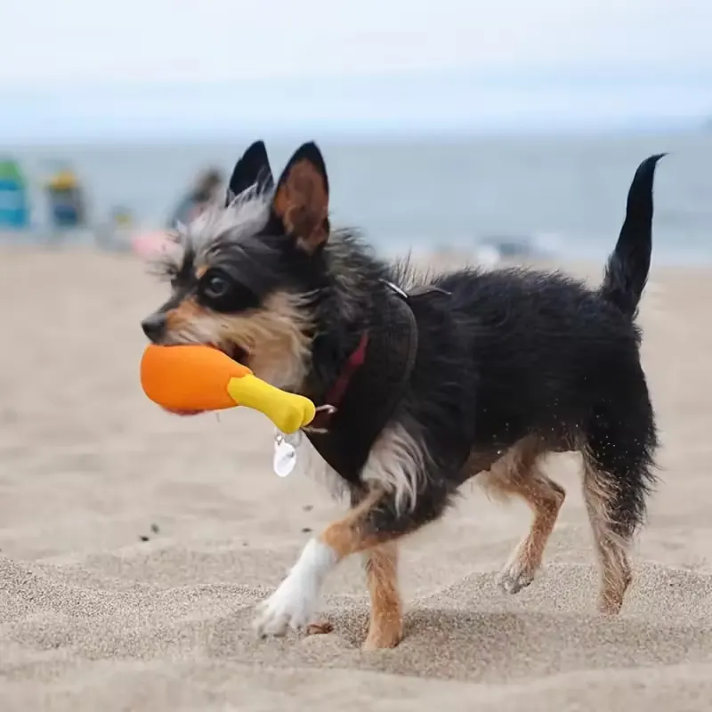 2 Squeaky Chicken Leg Dog Toy