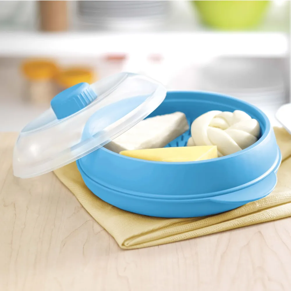 Draining Cheese Storage Container