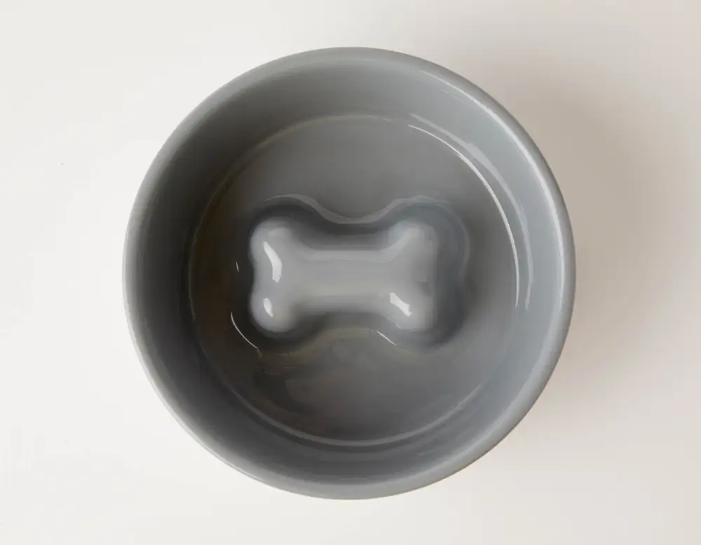 Slow Feeding Pet Bowl Style