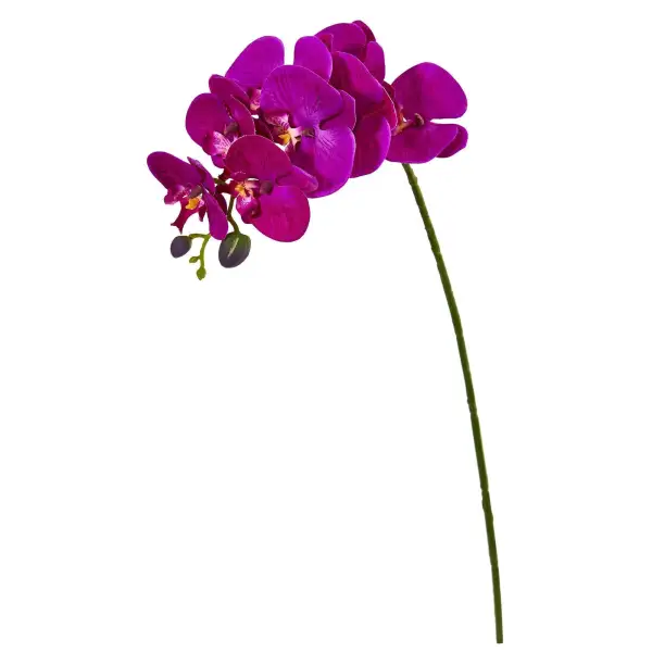 Orchid Phalaenopsis Artificial Flower Stem