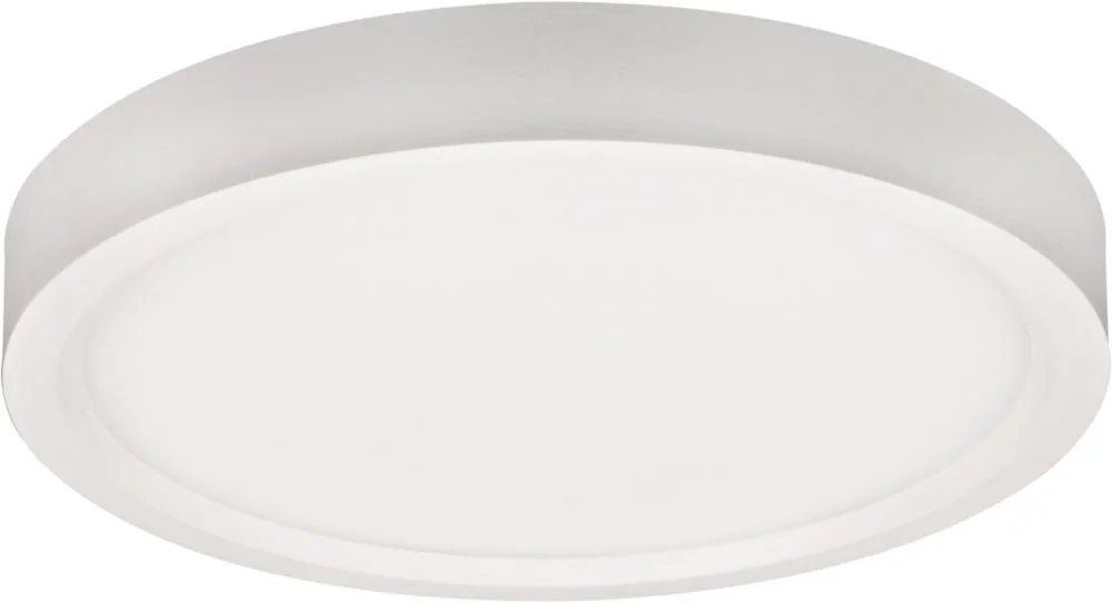 Rounded Contemporary LED Outdoor Ceiling Light