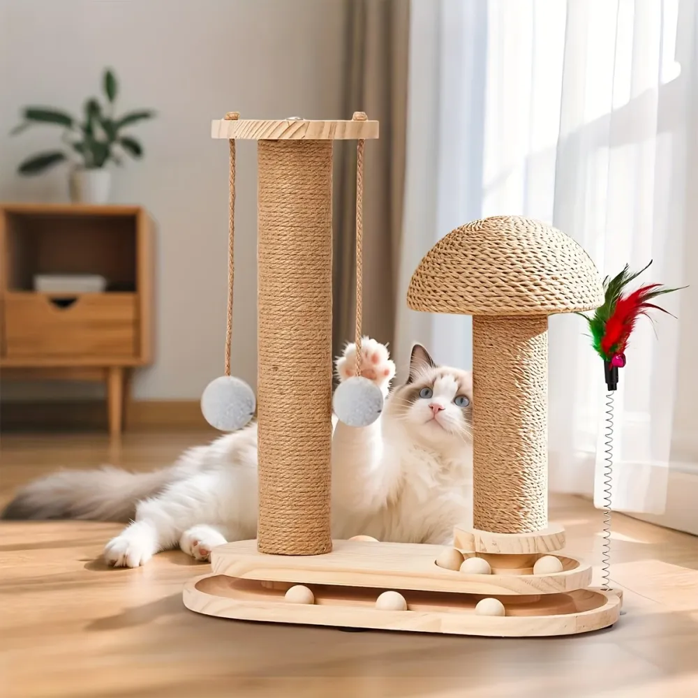 Multi-Activity Cat Scratching Post