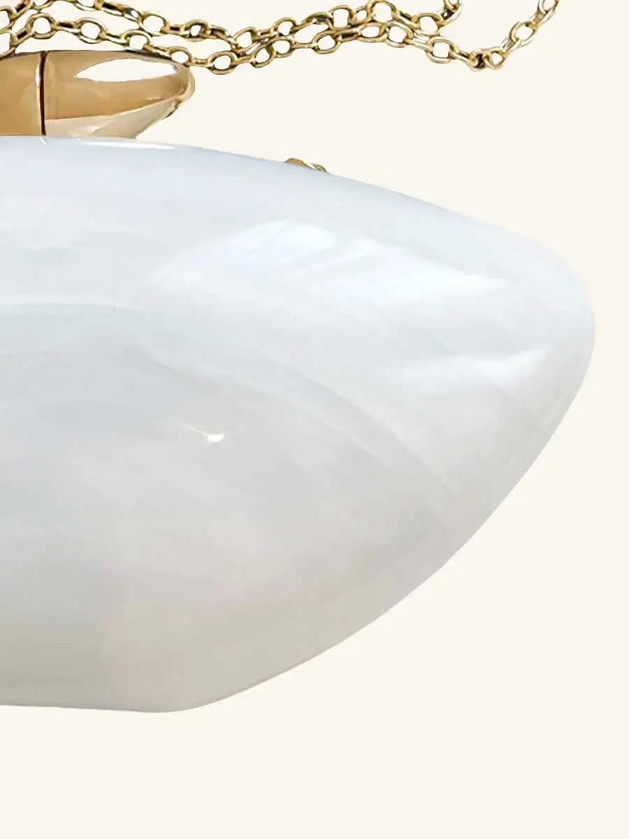 Darcy Oval Shaped Acrylic Clutch