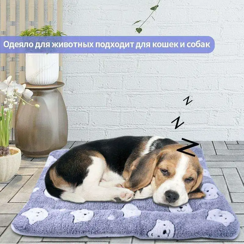 Plush Velvet Pet Blanket