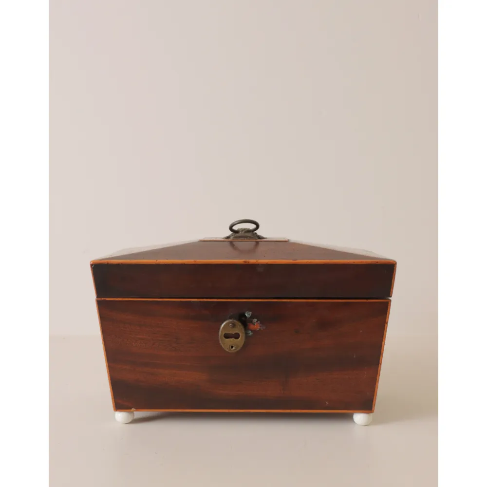 Mahogany Sarcophagus Tea Caddy Box