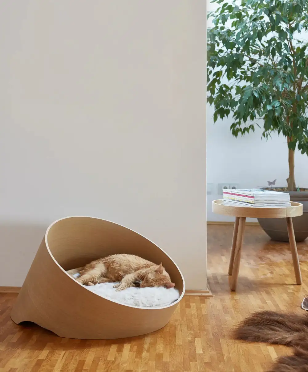 Modern Cat Rest Basket